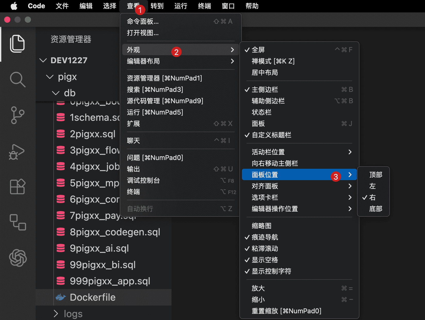 Terminal 面板右置