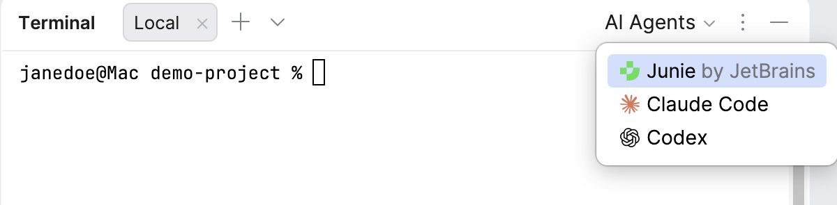 JetBrains 终端中的 AI Agents 入口